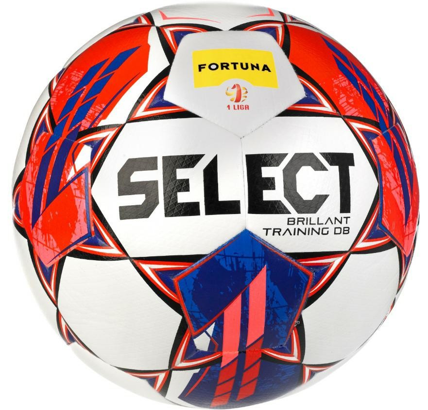 brillant_training_DB_Fortuna.jpeg-62291