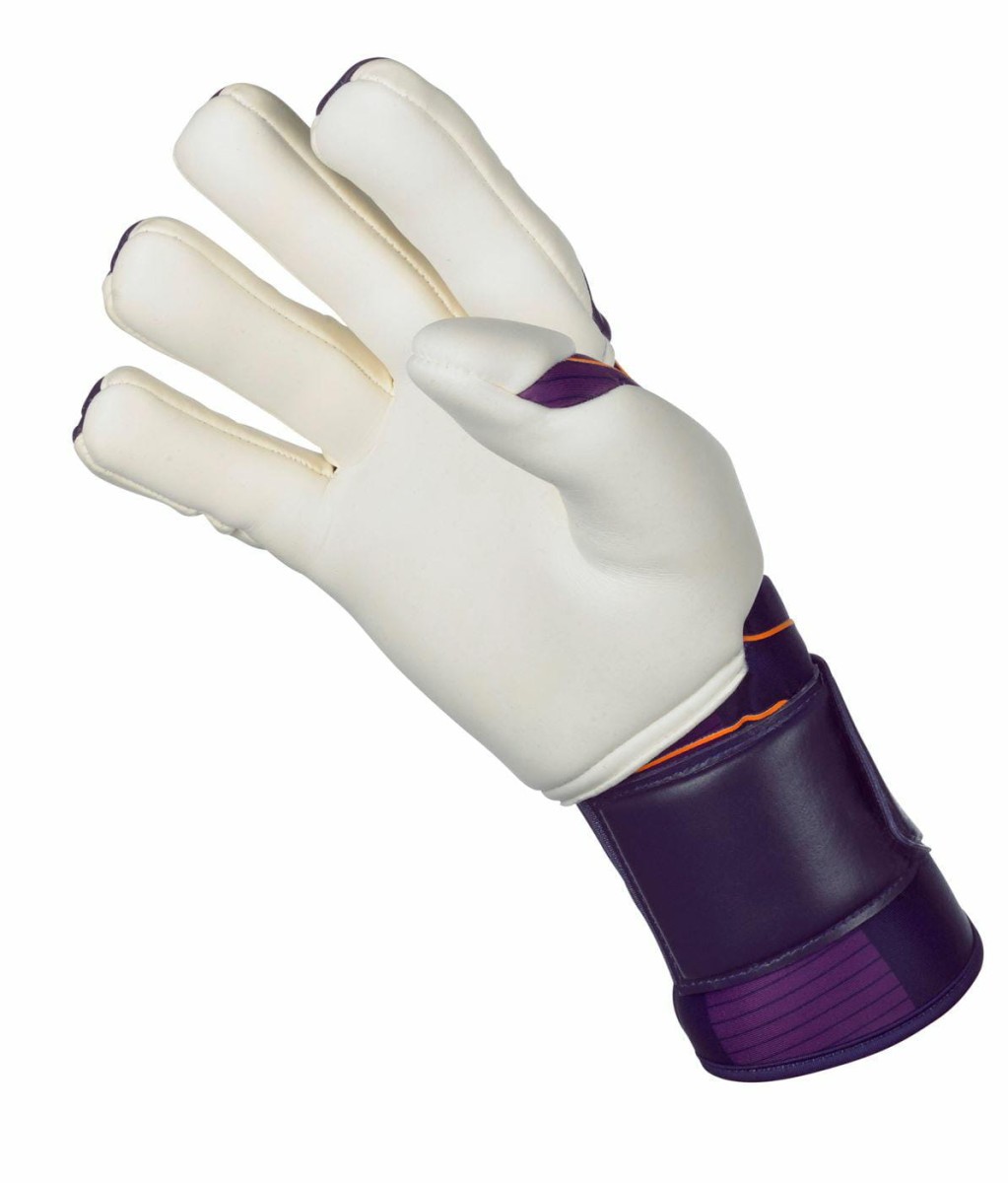 500080_purple-white_88_-63071