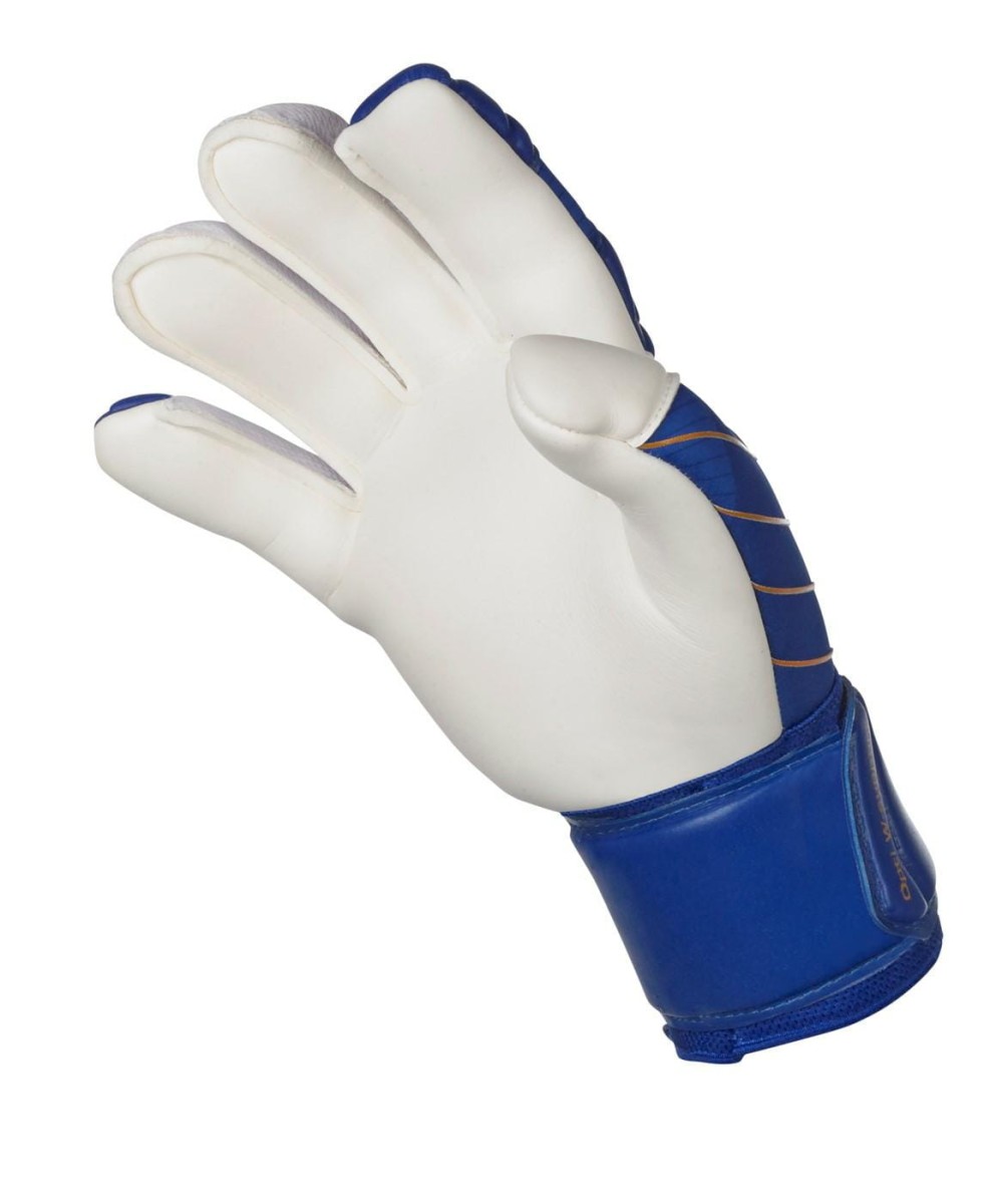 500078_blue-white_55_Extra_Force_v24_gloves_ex-73441