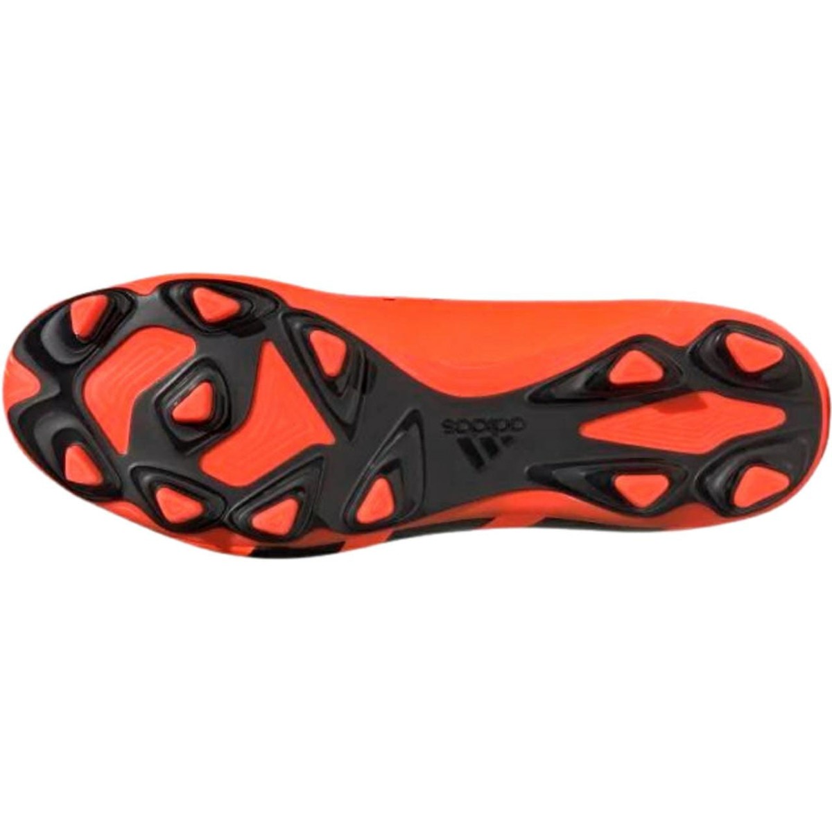 6 (4)_Easy-Resize.com-50871